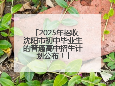 2025年招收沈阳市初中毕业生的普通高中招生计划公布！